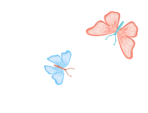 butterflies2